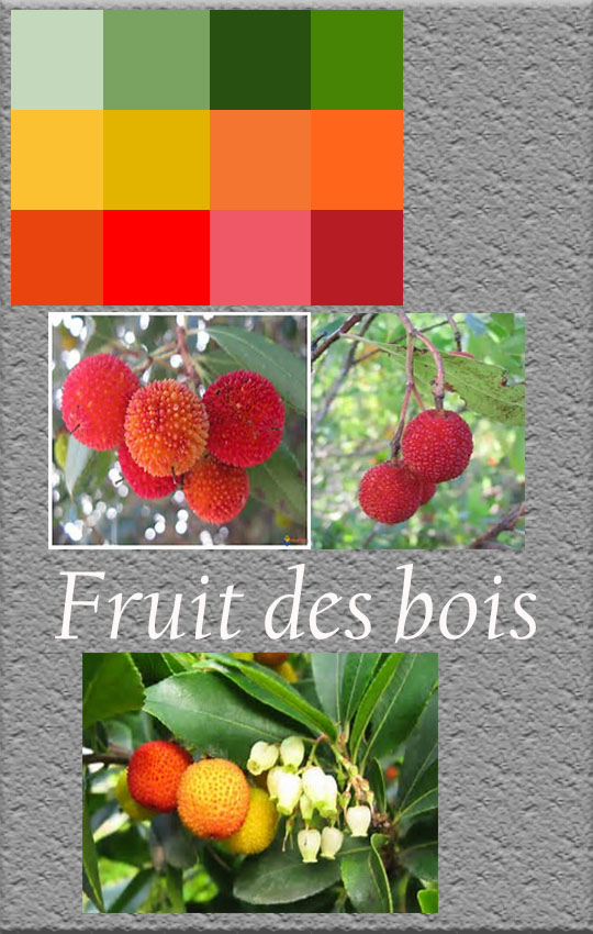 Fruits des bois